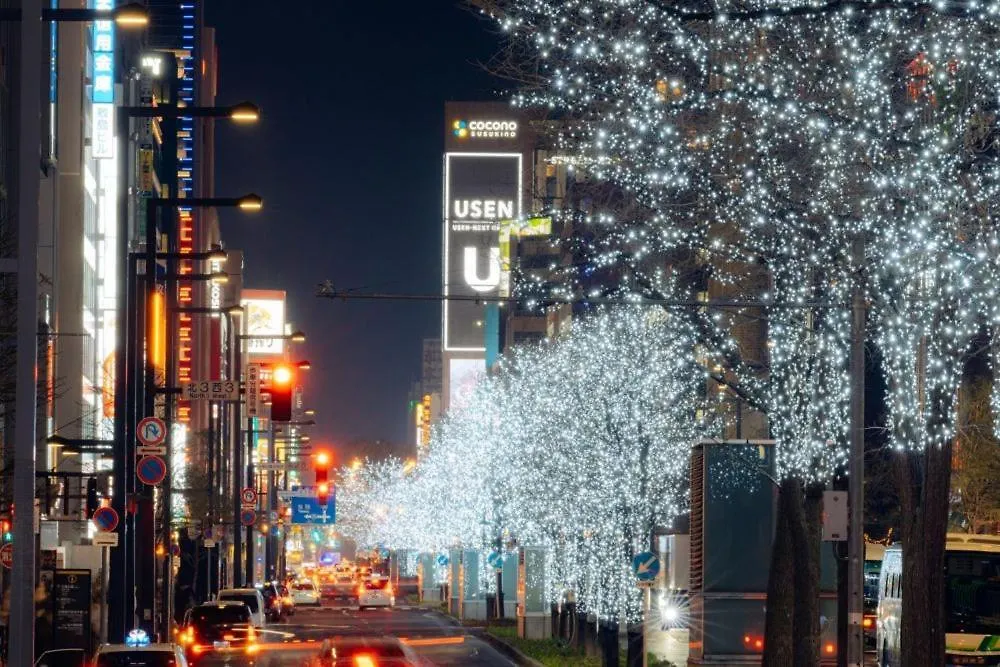 Green Sapporo Apartment