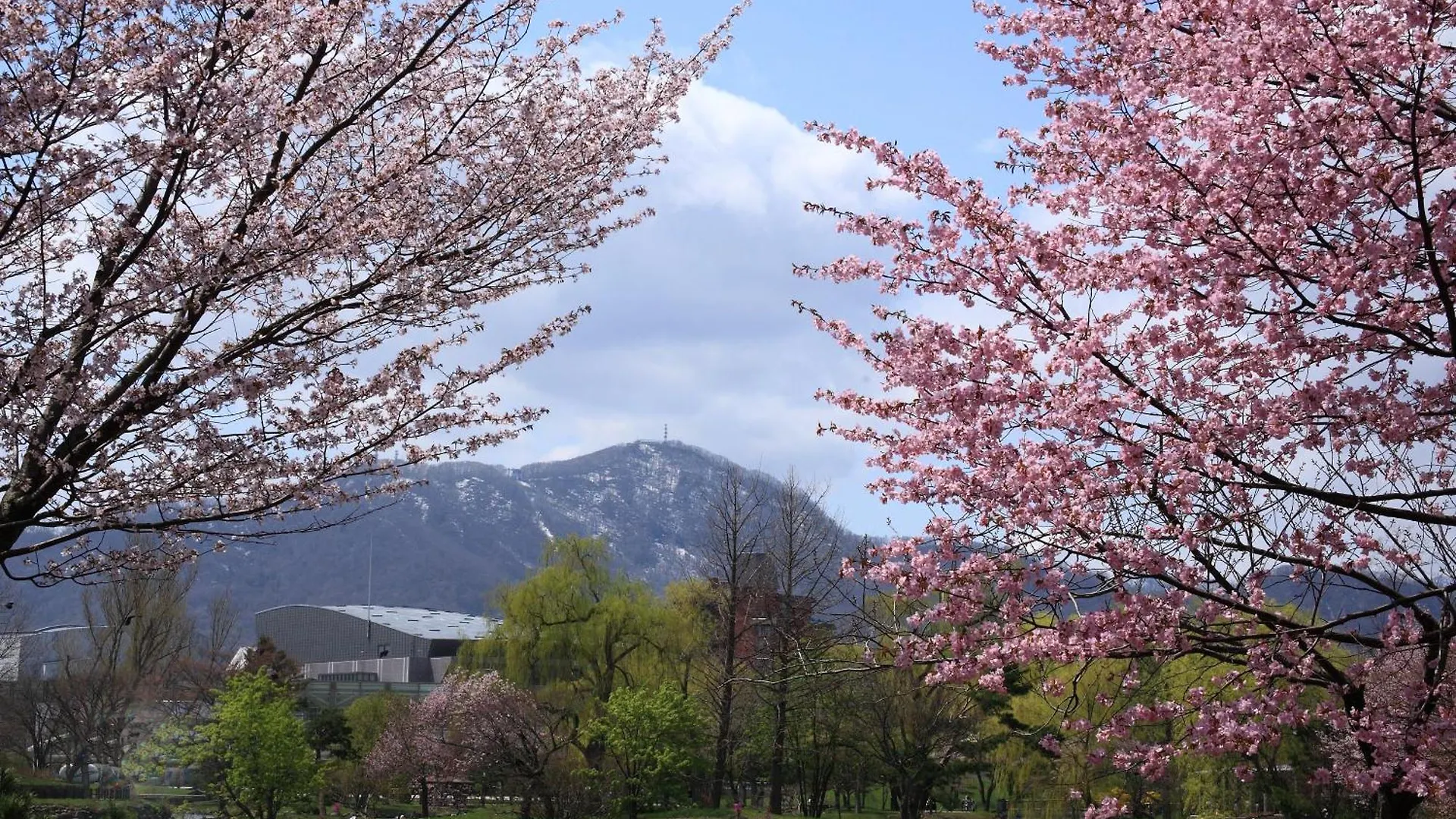 Green Sapporo Japonsko